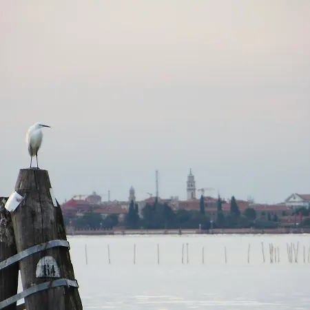 Elisabetta Bed and breakfast