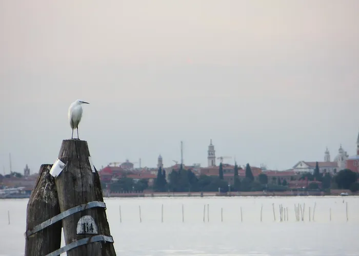 Elisabetta Bed & Breakfast