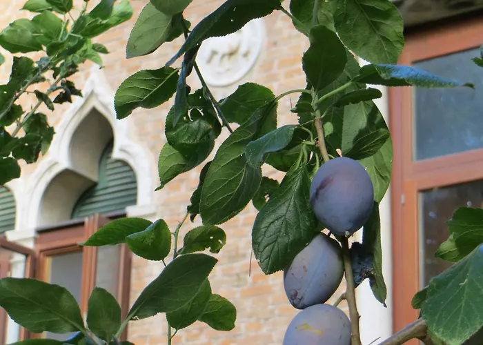 Frühstückspension Elisabetta Lido di Venezia