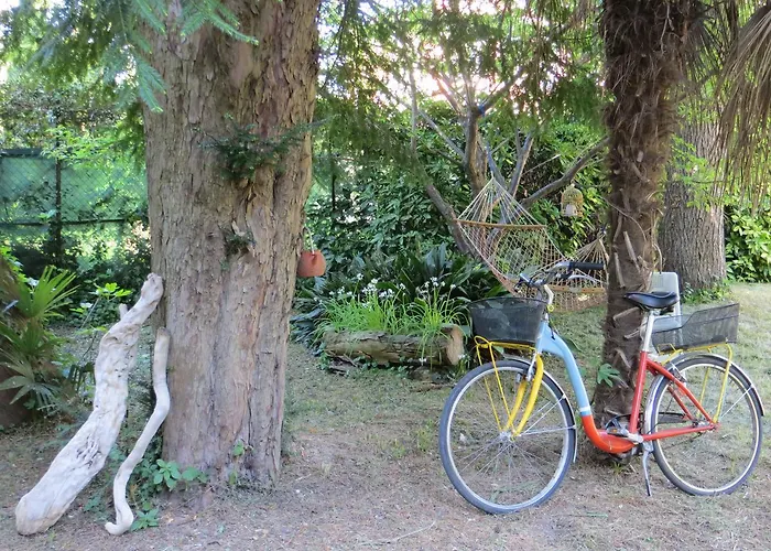 Elisabetta Frühstückspension Lido di Venezia